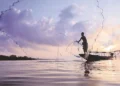 Fisheries