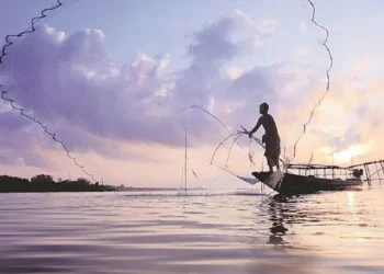 Fisheries