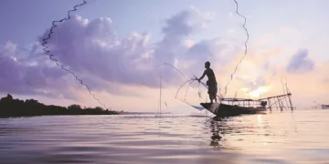 Fisheries