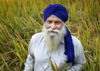 निहंगों का अनूठा संकल्प: बिना कीटनाशक कर रहे खेती, ताकि लंगर पवित्र रहे