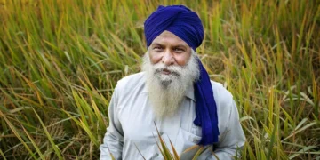 निहंगों का अनूठा संकल्प: बिना कीटनाशक कर रहे खेती, ताकि लंगर पवित्र रहे