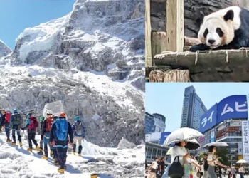 Pandas, Everest Risk, Tokyo Heat Policy Updates