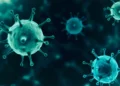 Ebola