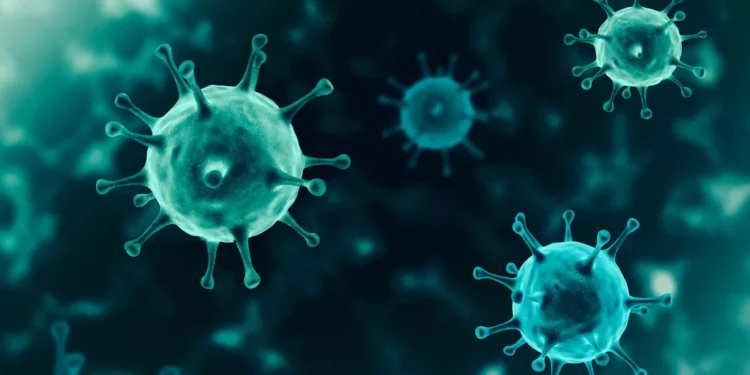 Ebola