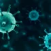 Ebola