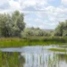 Protecting wetlands