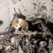 3 dead after fire breaks out in Delhi’s Tughlakabad