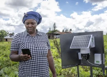 How Solar-Powered Cold Storage is Transforming Agriculture in Africa