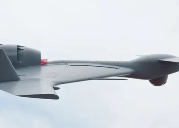 IAF to develop Kamikaze drones