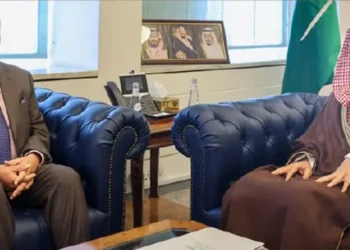 India, Saudi Arabia Review Multilateral Cooperation