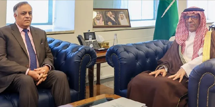 India, Saudi Arabia Review Multilateral Cooperation