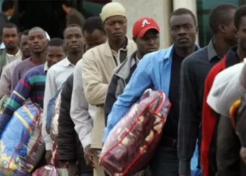 Migrants return home