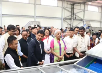 Sitharaman launches biggest spice unit in NE