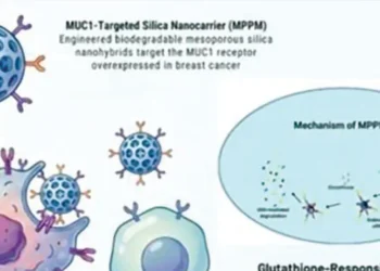 New approach to cancer therapy