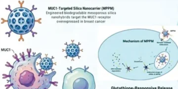 New approach to cancer therapy