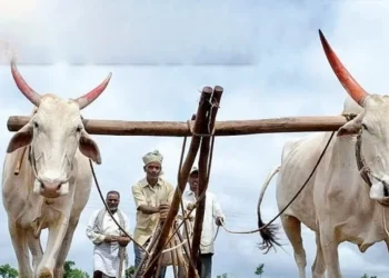 LOAN WAIVER