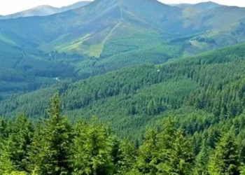 Himachal Green Cover: हिमाचल प्रदेश में शुरू हुआ 'मिशन 32 प्रतिशत'