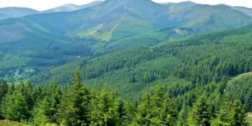 Himachal Green Cover: हिमाचल प्रदेश में शुरू हुआ 'मिशन 32 प्रतिशत'