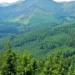 Himachal Green Cover: हिमाचल प्रदेश में शुरू हुआ 'मिशन 32 प्रतिशत'