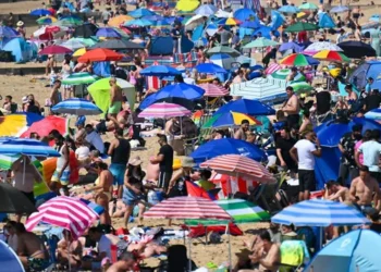 Europe Heatwave Triggers Alerts and Public Restrictions
