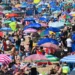 Europe Heatwave Triggers Alerts and Public Restrictions