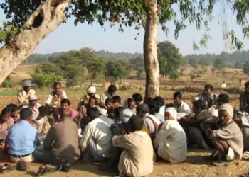 himachal-panchayat-election-443-illiterate-candidates-win