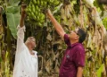 Andhra Pradesh Natural Farming Wins 2026 Food Planet Prize