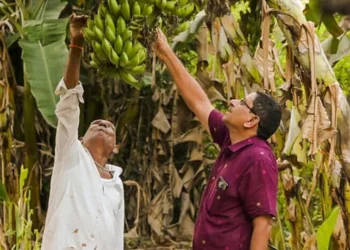 Andhra Pradesh Natural Farming Wins 2026 Food Planet Prize