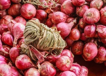 onion