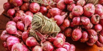 onion