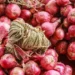 onion