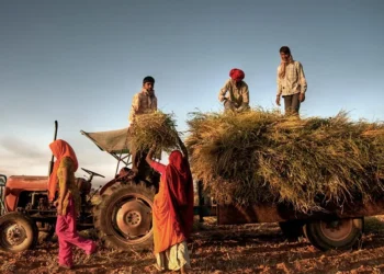rural india