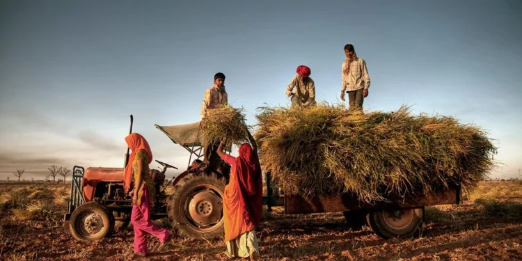 rural india