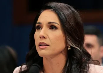 tulsi