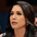 tulsi