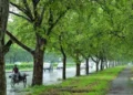 18 crore trees planned