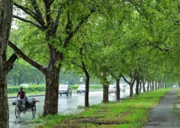 18 crore trees planned
