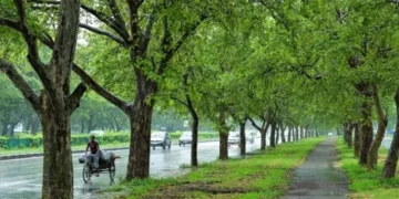 18 crore trees planned