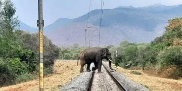 Tamil Nadu AI Elephant Monitoring