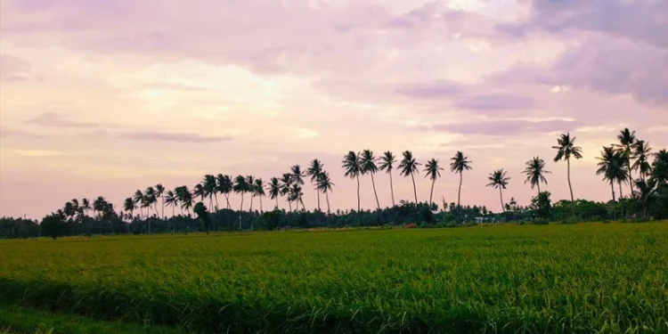 Agriculture