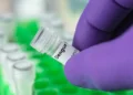 Nod for Dengue vaccine