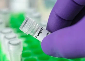 Nod for Dengue vaccine