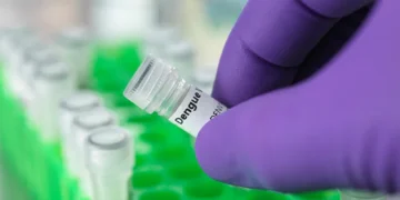 Nod for Dengue vaccine