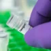 Nod for Dengue vaccine