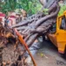 Mumbai Rains: Red Alert Issued as Flooding Disrupts City