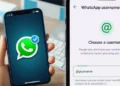 WhatsApp Username Feature