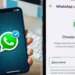 WhatsApp Username Feature