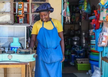 African Nations Secure $900 Million for Clean Cooking Expansion