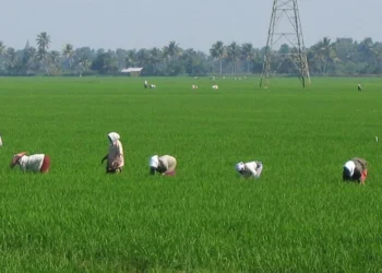 IMD Forecasts Below-Normal July Rainfall Across India