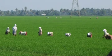IMD Forecasts Below-Normal July Rainfall Across India